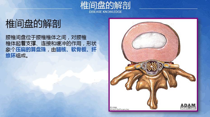 國(guó)康健康保險(xiǎn)談腰椎間盤(pán)突出