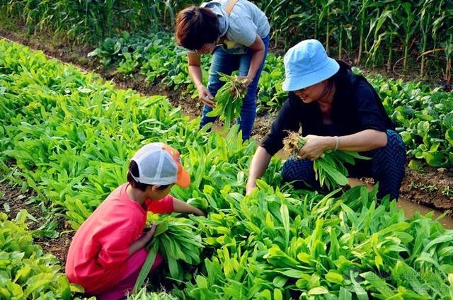 培養(yǎng)健康寶寶，必學(xué)的“食育”常識！