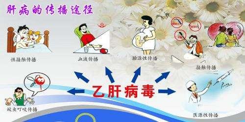 史上最全的慢性乙型肝炎預(yù)防手冊(cè)，讀完你就是半個(gè)專家！