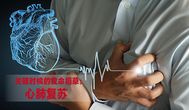 健康保險(xiǎn)之心肺