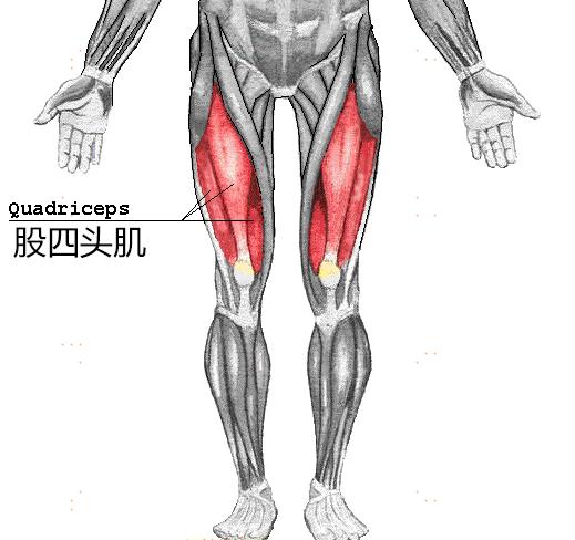 骨關(guān)節(jié)炎患者如何通過運(yùn)動拯救自己，看完你就知道了