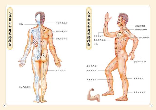 冬病夏治，不知道這幾個養(yǎng)生方法怎么行？