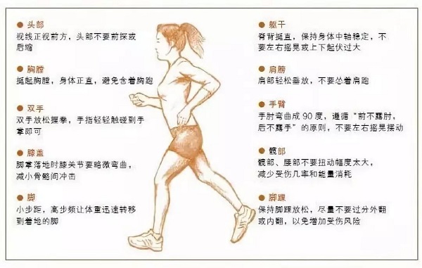 跑步1小時延壽7小時！關鍵要跑對！